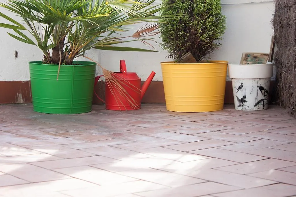 Sugar Barcelona Rentals إسبانيا